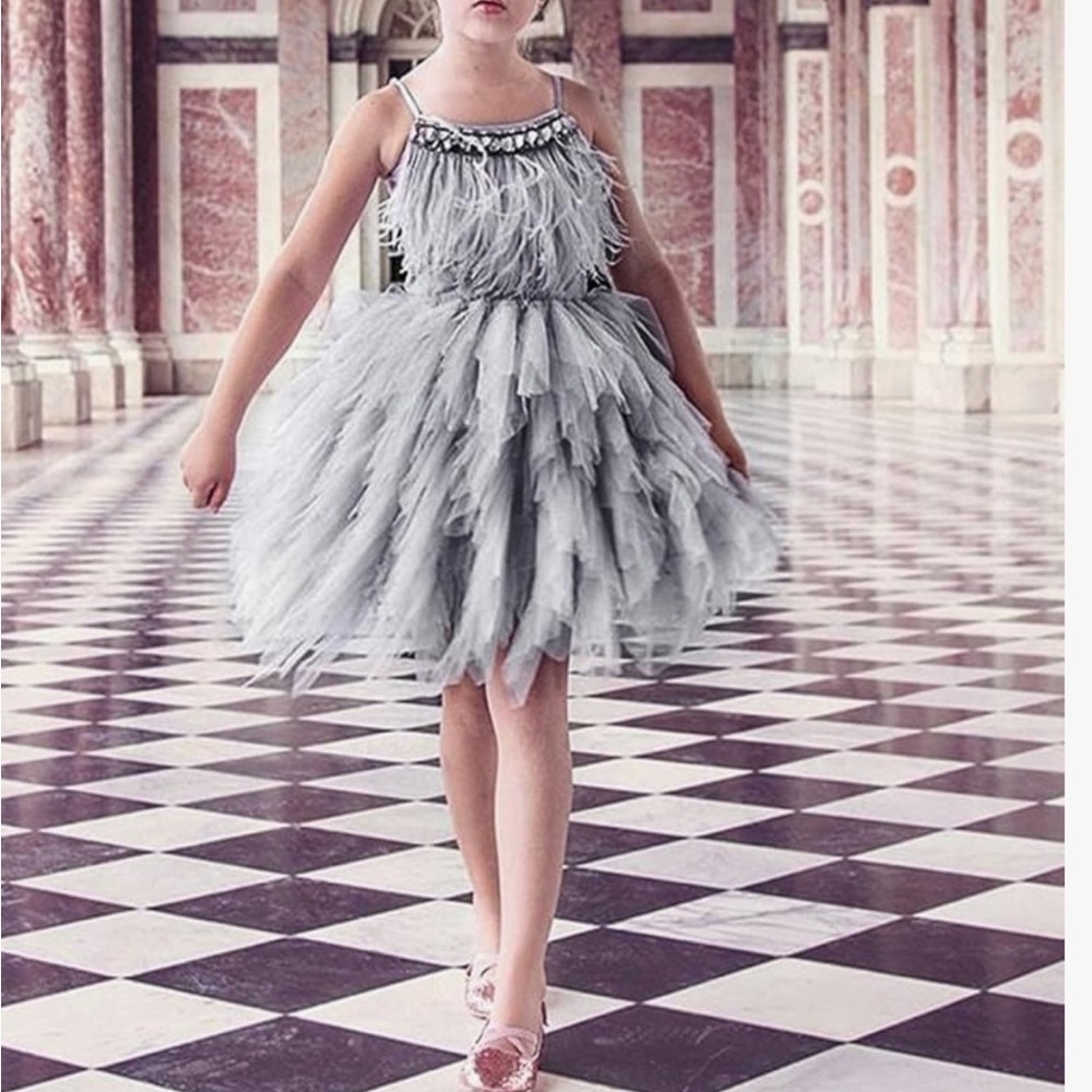 Worn 1x Modest Elegant Gray Feathered Dress SZ 7
Added sleeves & neckline.